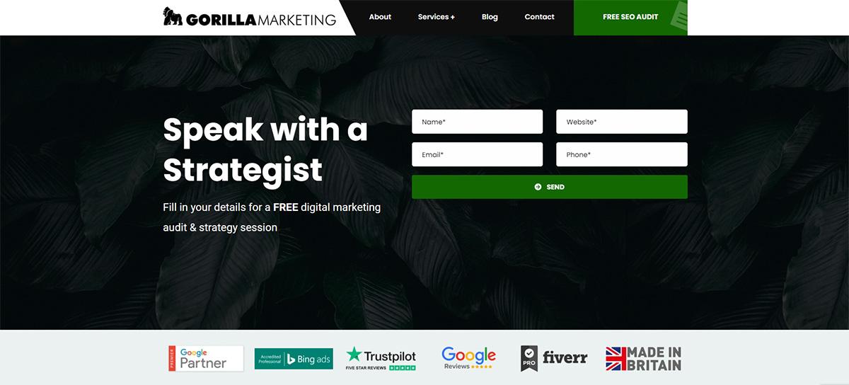 Gorilla Marketing