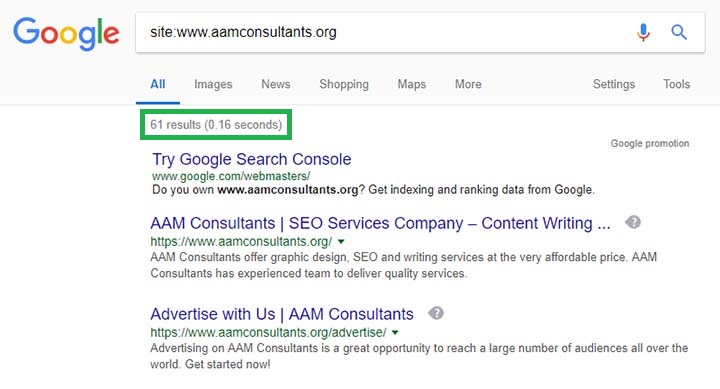 site operator to check indexation status