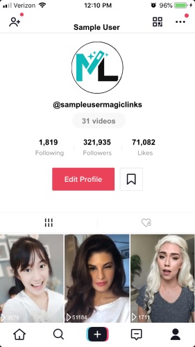 Make The Fabby Profile on TikTok