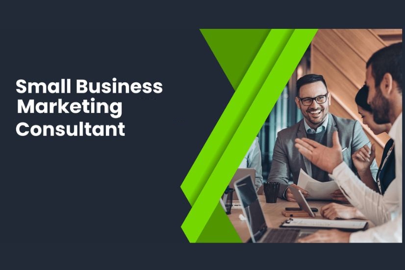 Small Business Marketing Consultant