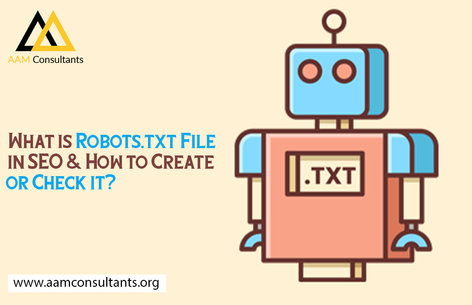 What is Robots.txt File in SEO & How to Create or Check it?