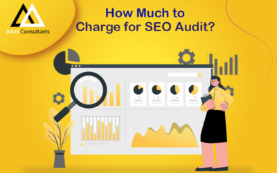 How Much to Charge for SEO Audit?
