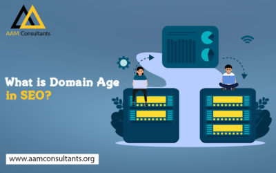 What is Domain Age in SEO?