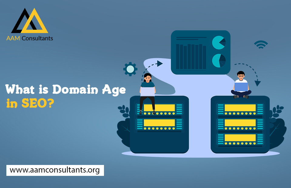 What is Domain Age in SEO?