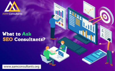 What to Ask SEO Consultants?