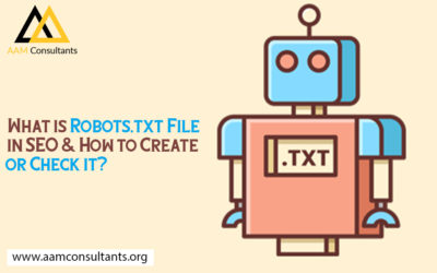 What is Robots.txt File in SEO & How to Create or Check it?
