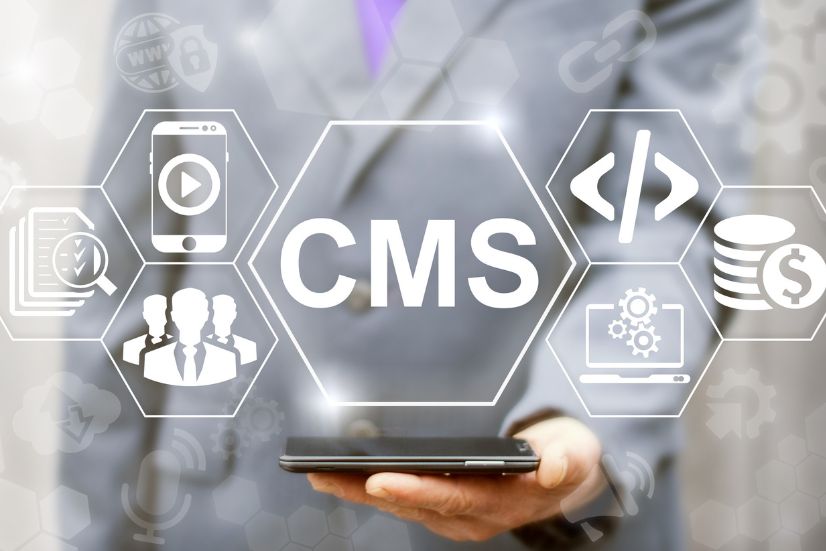 CMS Website Development Services Company