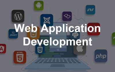 Best Web Application Development Services Agency
