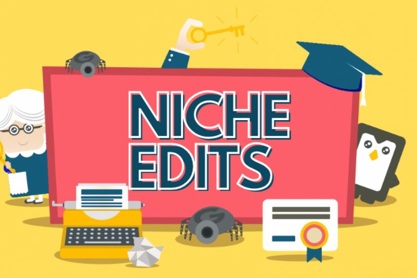 Best Niche Edits Services Agency