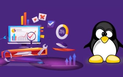 Google Penguin Recovery Services