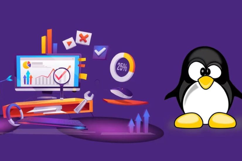 Google Penguin Recovery Services
