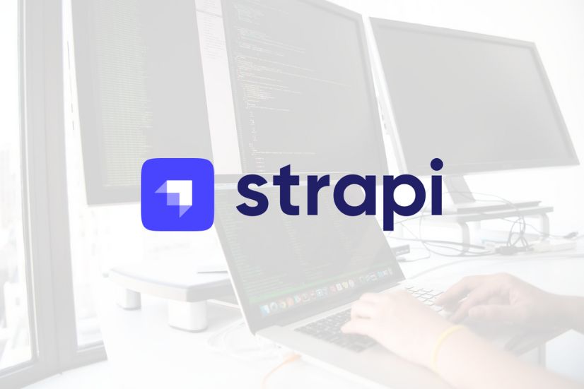 Custom Development Services for Strapi