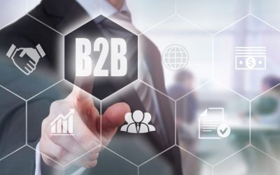 B2B Web Application Development