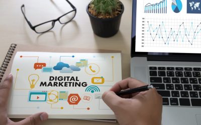 Digital Marketing Packages for Small Business