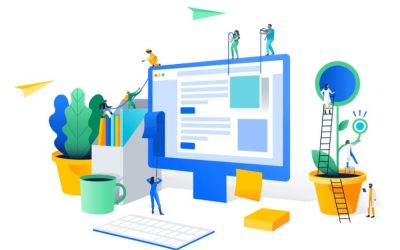 Professional Web Management Services