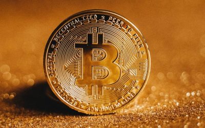 BTC to Naira Converter in Nigeria – A Quick Guide to Success